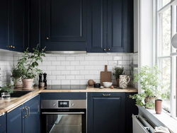 Blue IKEA Kitchen In The Interior