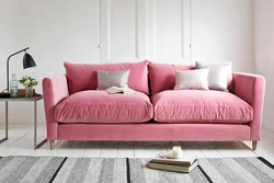 Pink sofa in the kitchen interior