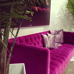 Fuchsia sofa in the living room interior