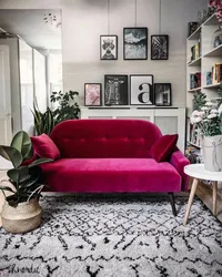 Yashash xonasining ichki qismidagi fuşya divan