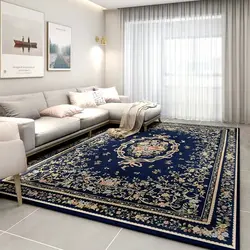 Brown carpet in the living room interior