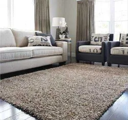 Brown carpet in the living room interior