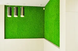 Artificial Grass In The Bathroom Interior