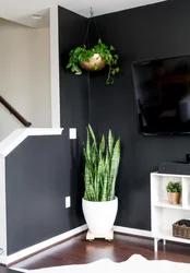 Pike tail in the living room interior