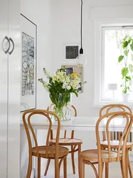 Viennese chairs in the kitchen interior