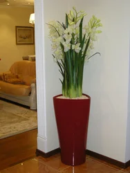 Artificial flowers for the interior in the hallway