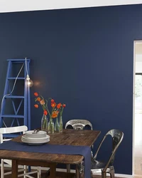Gray paint for walls in the kitchen interior