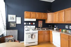 Gray paint for walls in the kitchen interior