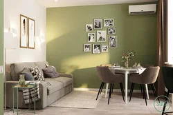 Gray paint for walls in the kitchen interior