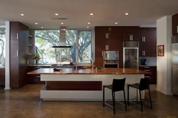 House kitchen design