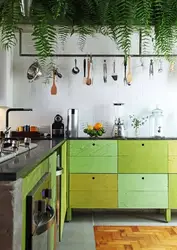Зелень на кухне дизайн