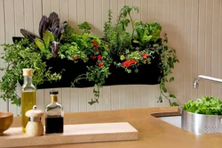 Greenery in the kitchen design