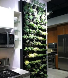 Зелень на кухне дизайн