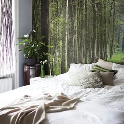 Bedroom design forest photo wallpaper