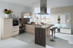 Living Room Kitchen Design With Peninsula