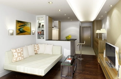 Qonaq otağı 29 kv m dizayn
