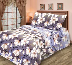 Kateqoriya 