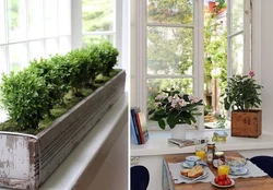 Kitchen window sill design with flowers