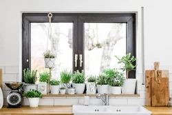 Kitchen window sill design with flowers