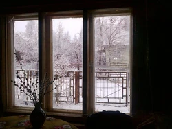 Катэгорыя 