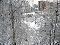 Фото зимы из окна квартиры