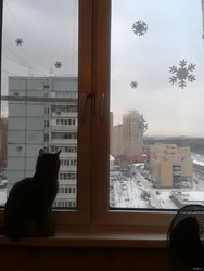 Winter photo from the apartment window
