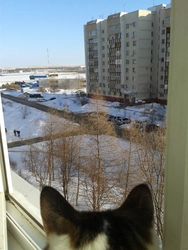Фото Зимы Из Окна Квартиры