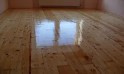 Санаттар 