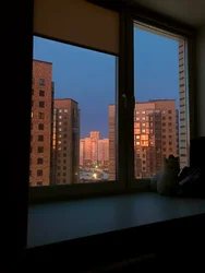 Категорияҳо 