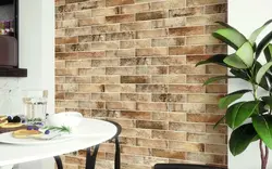 Clinker Tiles For Apartment Photo