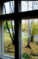 Фото из окна квартиры осенью