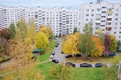 Kateqoriya 