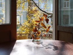 Фото из окна квартиры осенью