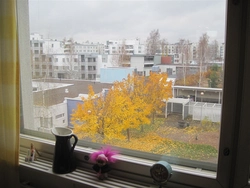 Payızda Mənzil Pəncərəsindən Fotoşəkil