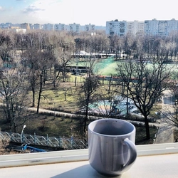 Фото из окна квартиры во двор