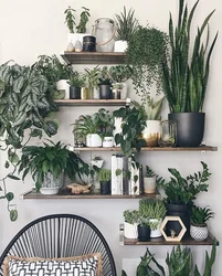 Photos of flowers on the wall in the apartment