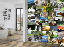 Пәтердегі қабырғадағы фотосуреттердің коллажы