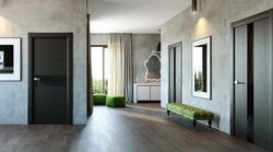 Gray brown doors in the interior of the apartment