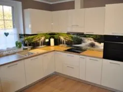 Фото кухни кит