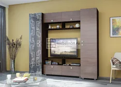 Wall for TV in the living room inexpensive photo