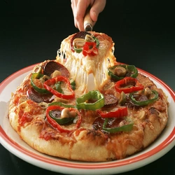 Delicious italian cuisine photo