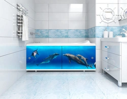 Sliding bathtub photo