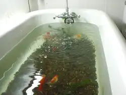Full bath photo