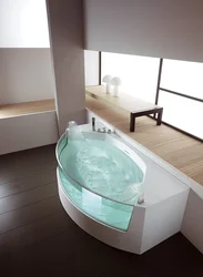 Photo of transparent bathroom