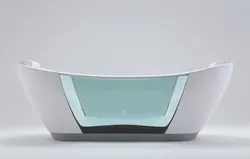 Photo of transparent bathroom