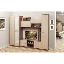 Olmeko living rooms photos