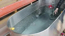 Cold bath photo
