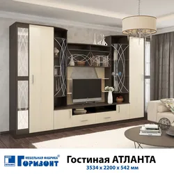 Living room horizon photo