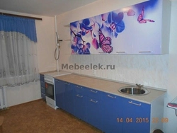 Kitchen butterfly photo