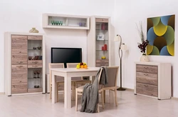 Anrex living rooms photos